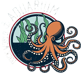Aquarium