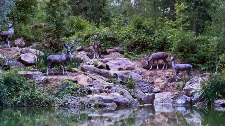 De nouvelles scènes font leur apparition autour de Rivers of the Far West à Disneyland Paris