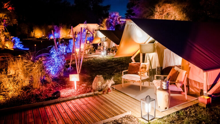 Une Nuit dans la Jungle : Soirées Extraordinaire pour les participants