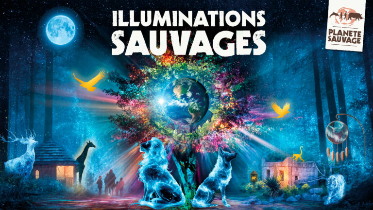 Nouveauté hivernale à Planète Sauvage : les Illuminations Sauvages !
