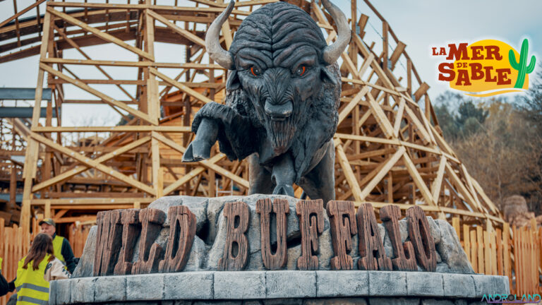 Wild Buffalo à La Mer De Sable